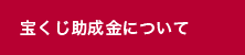 宝くじ助成金について